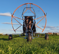 HSCOM Condor Trike, Stabiler Käfig, für viele Motoren geeignet